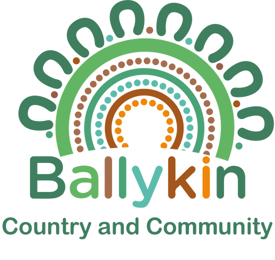 Aboriginal, Graphic Design, Reconciliation Action Plan, Design, Logo
