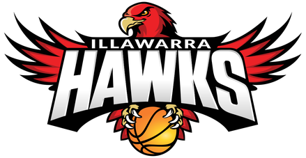 Aboriginal, Graphic Design, Reconciliation Action Plan, Design, Logo, Illawarra Hawks